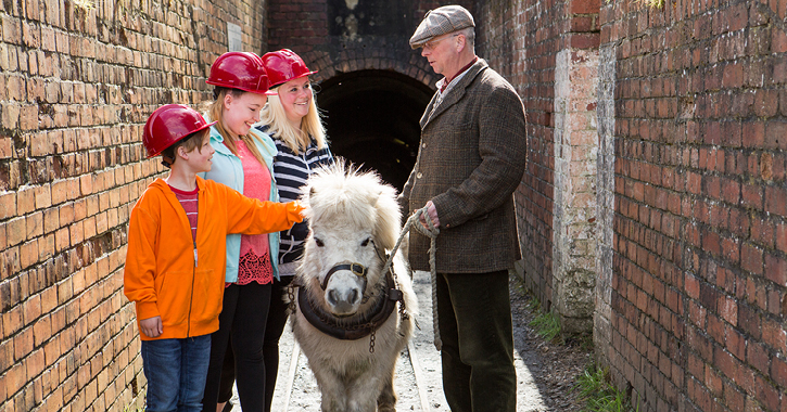Family with a pit pony at Beamish Museum Drift Mine